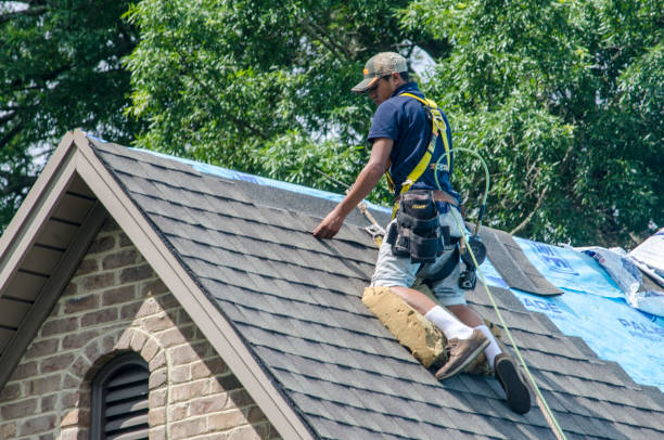 Best Roof Repair Services  in Upland, PA